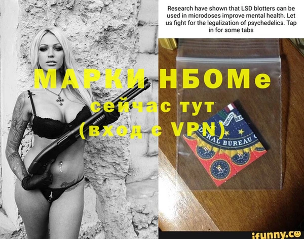 индика Аркадак