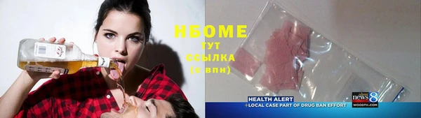 индика Аркадак