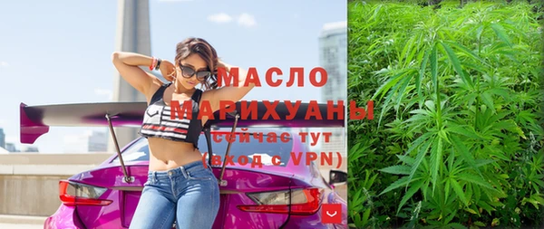индика Аркадак