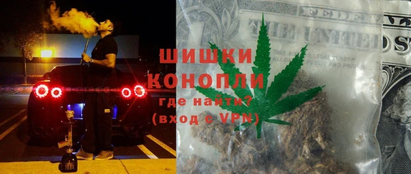 индика Аркадак