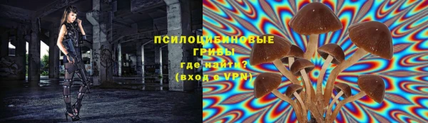индика Аркадак