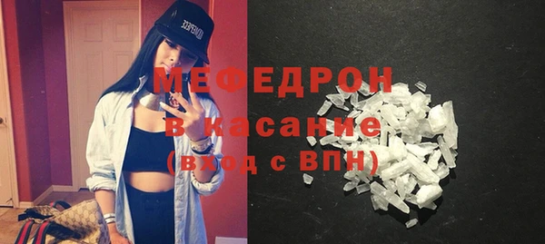 индика Аркадак