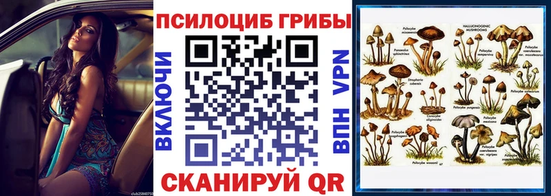купить закладку  Хадыженск  Псилоцибиновые грибы Magic Shrooms 
